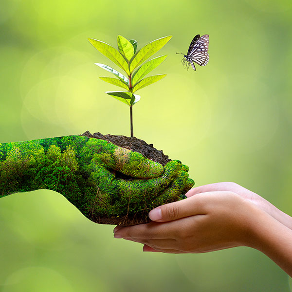 River-Engineering-and-Ecology_INNER_1